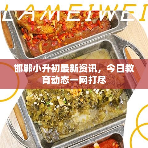 邯郸小升初最新资讯，今日教育动态一网打尽