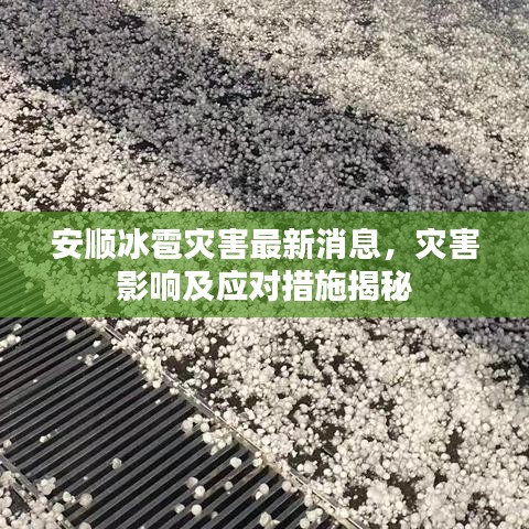 安顺冰雹灾害最新消息,灾害影响及应对措施揭秘