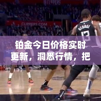 铂金今日价格实时更新，洞悉行情，把握投资先机
