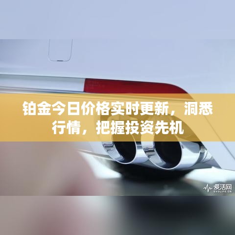 铂金今日价格实时更新,洞悉行情,把握投资先机