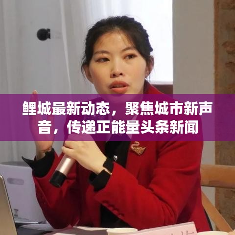 鲤城最新动态，聚焦城市新声音，传递正能量头条新闻