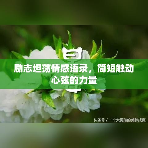励志坦荡情感语录，简短触动心弦的力量