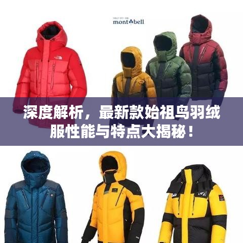 深度解析,最新款始祖鸟羽绒服性能与特点大揭秘!