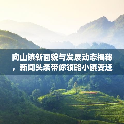 向山镇新面貌与发展动态揭秘,新闻头条带你领略小镇变迁风采
