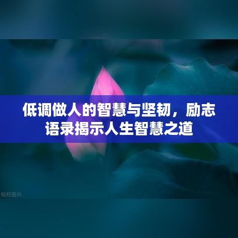 低调做人的智慧与坚韧，励志语录揭示人生智慧之道