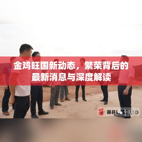 金鸡旺国新动态，繁荣背后的最新消息与深度解读