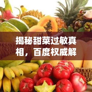 揭秘甜菜过敏真相,百度权威解答,让你无忧食用!
