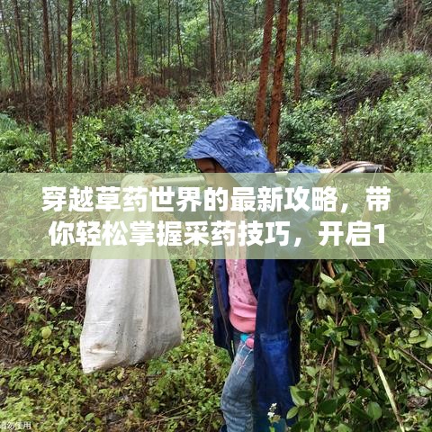 穿越草药世界的最新攻略，带你轻松掌握采药技巧，开启1到300的冒险征途！