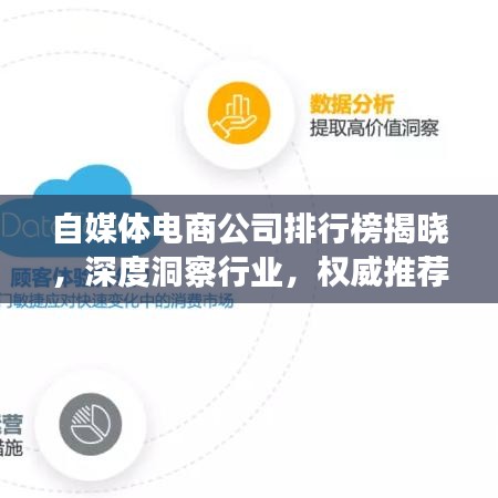 自媒体电商公司排行榜揭晓，深度洞察行业，权威推荐引领市场潮流