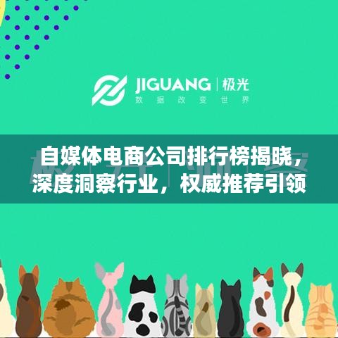 自媒体电商公司排行榜揭晓,深度洞察行业,权威推荐引领市场潮流