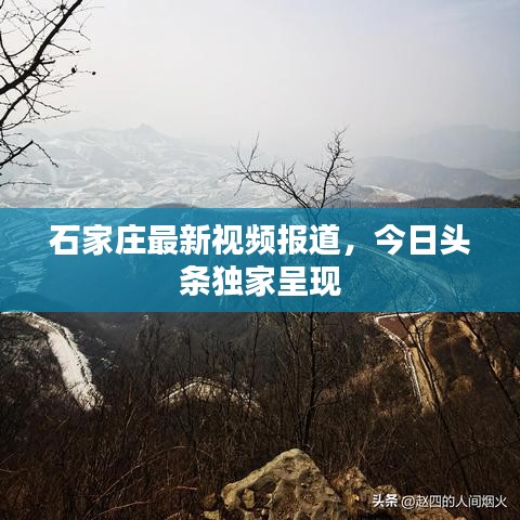 石家庄最新视频报道，今日头条独家呈现