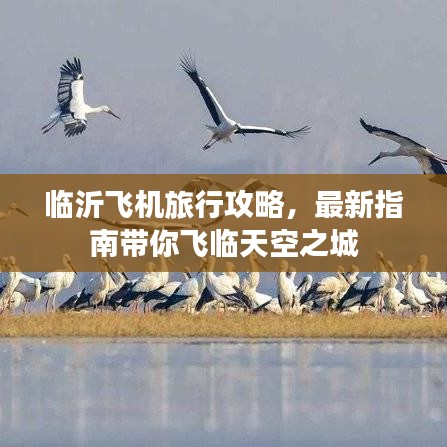 临沂飞机旅行攻略，最新指南带你飞临天空之城