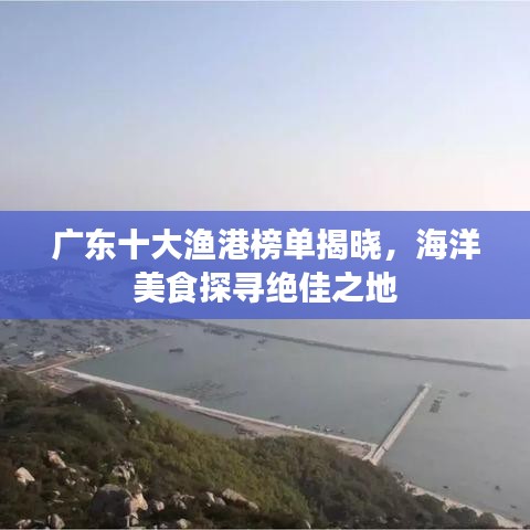 广东十大渔港榜单揭晓,海洋美食探寻绝佳之地