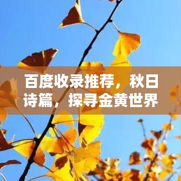百度收录推荐,秋日诗篇,探寻金黄世界的魅力
