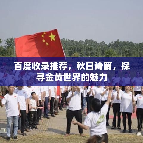 百度收录推荐，秋日诗篇，探寻金黄世界的魅力