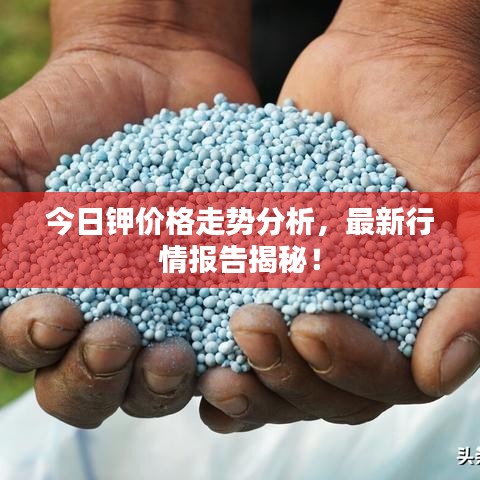 今日钾价格走势分析，最新行情报告揭秘！