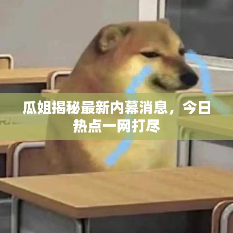 瓜姐揭秘最新内幕消息，今日热点一网打尽