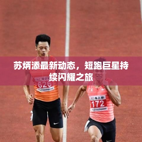 苏炳添最新动态，短跑巨星持续闪耀之旅