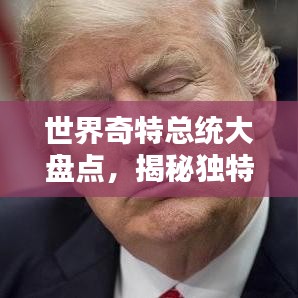 世界奇特总统大盘点，揭秘独特领导风格的传奇人物排名