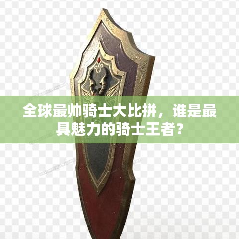 全球最帅骑士大比拼，谁是最具魅力的骑士王者？