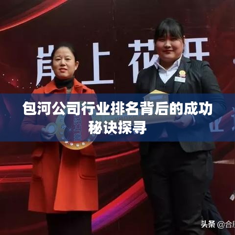 包河公司行业排名背后的成功秘诀探寻