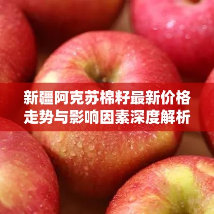 新疆阿克苏棉籽最新价格走势与影响因素深度解析