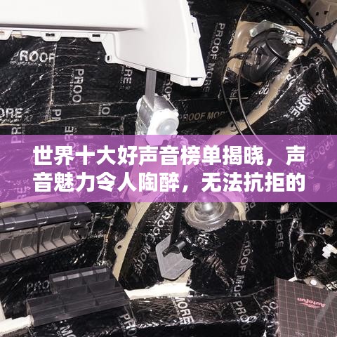 世界十大好声音榜单揭晓,声音魅力令人陶醉,无法抗拒的魅力排行!