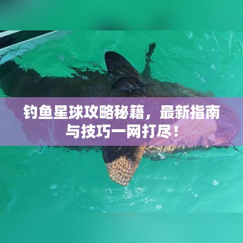 钓鱼星球攻略秘籍，最新指南与技巧一网打尽！