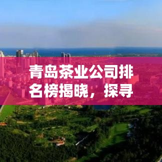 青岛茶业公司排名榜揭晓，探寻茶韵之岛的顶尖品质先锋