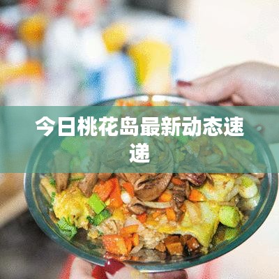 今日桃花岛最新动态速递
