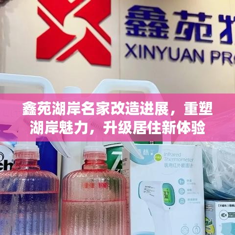 鑫苑湖岸名家改造进展，重塑湖岸魅力，升级居住新体验