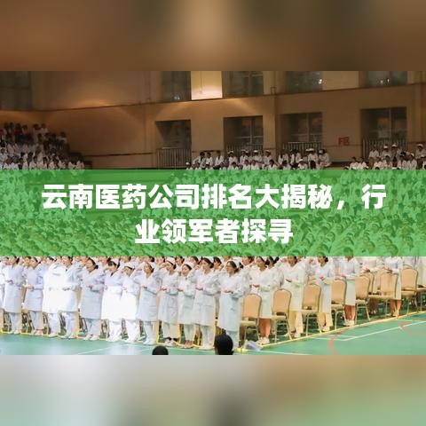 云南医药公司排名大揭秘，行业领军者探寻