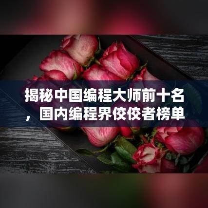 揭秘中国编程大师前十名，国内编程界佼佼者榜单！