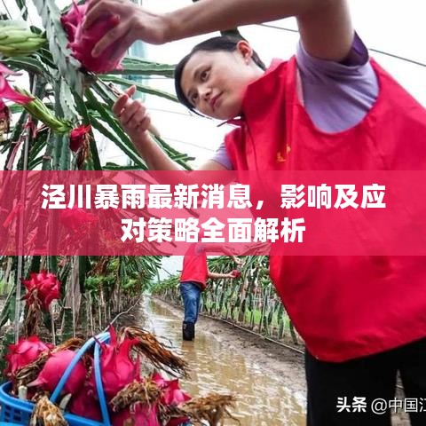 泾川暴雨最新消息，影响及应对策略全面解析
