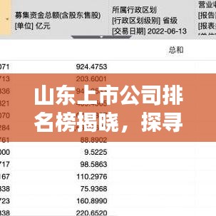 山东上市公司排名榜揭晓，探寻鲁企巨头的崛起之路