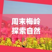 周末梅岭探索自然美景，尽享休闲时光攻略