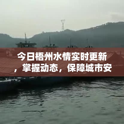 今日梧州水情实时更新，掌握动态，保障城市安全