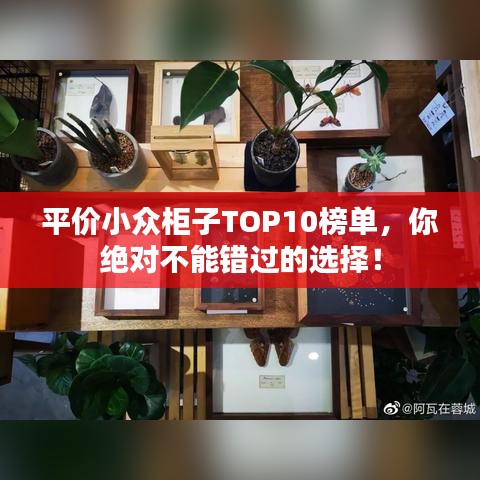 平价小众柜子TOP10榜单，你绝对不能错过的选择！