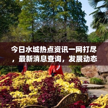 今日水城热点资讯一网打尽,最新消息查询,发展动态掌握
