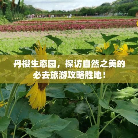 丹樱生态园，探访自然之美的必去旅游攻略胜地！