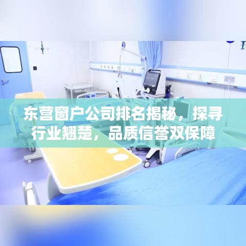 东营窗户公司排名揭秘,探寻行业翘楚,品质信誉双保障
