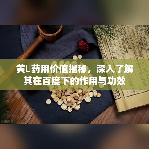 黄茋药用价值揭秘，深入了解其在百度下的作用与功效