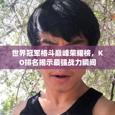 世界冠军格斗巅峰荣耀榜,KO排名揭示最强战力瞬间