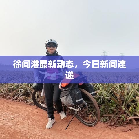 徐闻港最新动态，今日新闻速递