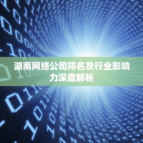 湖南网络公司排名及行业影响力深度解析