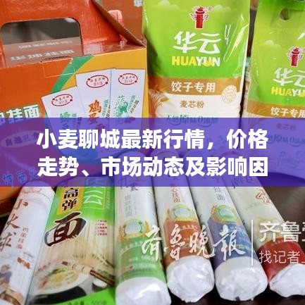 小麦聊城最新行情，价格走势、市场动态及影响因素深度解析