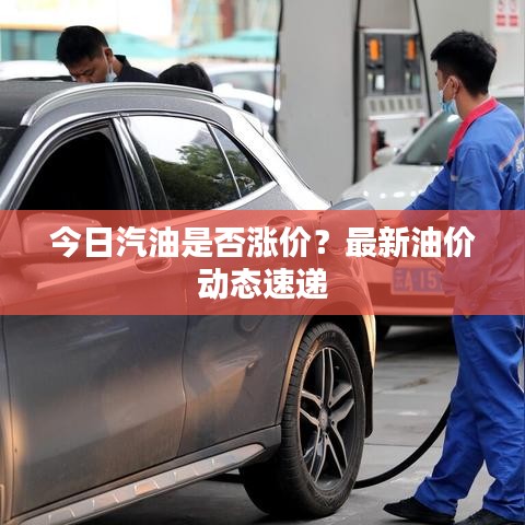 今日汽油是否涨价？最新油价动态速递