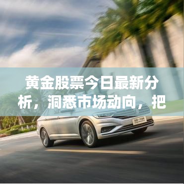 黄金股票今日最新分析,洞悉市场动向,把握投资机会
