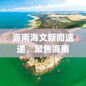 海南海文新闻速递，聚焦海南最新动态与发展趋势