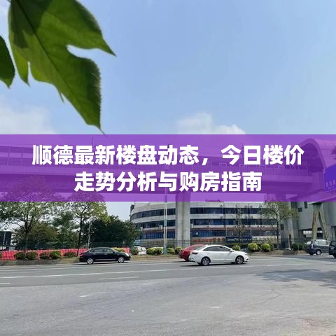 顺德最新楼盘动态，今日楼价走势分析与购房指南